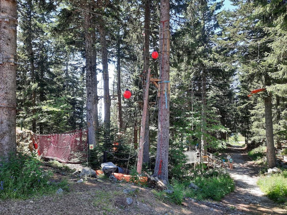 La Petite Foret Chamrousse 1700 Eksteriør billede