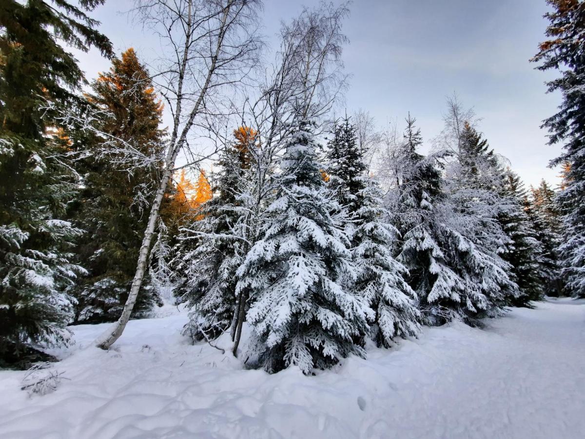 La Petite Foret Chamrousse 1700 Eksteriør billede