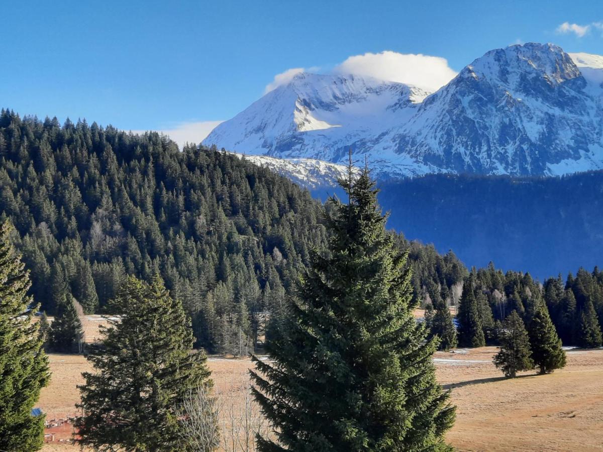 La Petite Foret Chamrousse 1700 Eksteriør billede